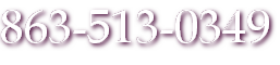 863-513-0349